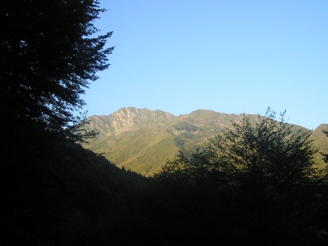 p1010018.jpg
