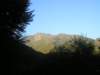 p1010018_small.jpg