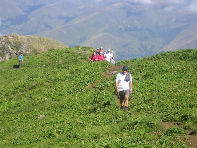 p1010060.jpg
