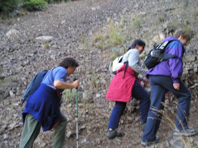 p1010018.jpg