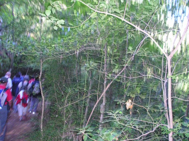 p1010040.jpg