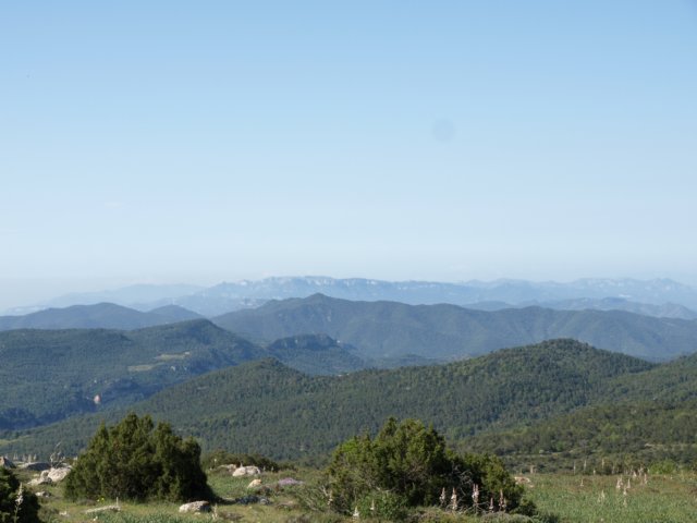 p5232726.jpg
