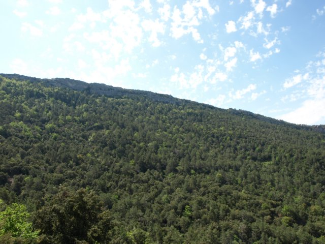 p5232731.jpg