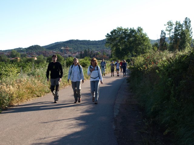 p6132740.jpg