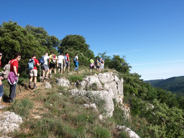 p6132746.jpg