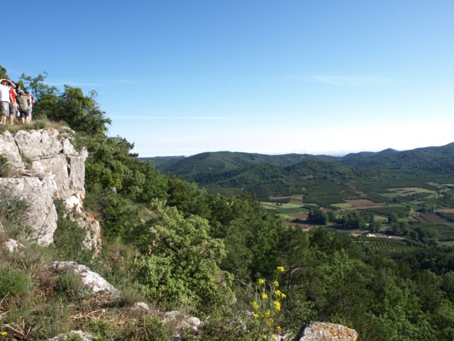 p6132747.jpg