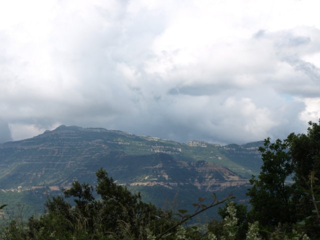p6132766.jpg
