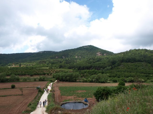 p6132780.jpg
