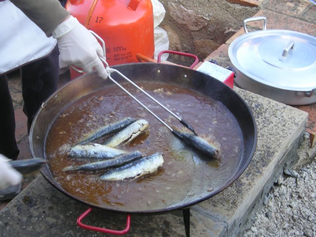 p1010420.jpg