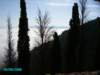 imgp0184_small.jpg