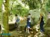 imgp0198_small.jpg