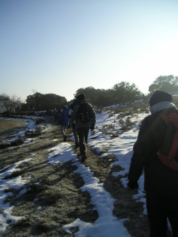 p1010004.jpg