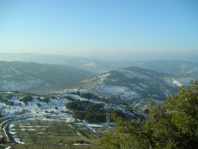 p1010007.jpg