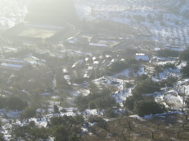p1010008.jpg