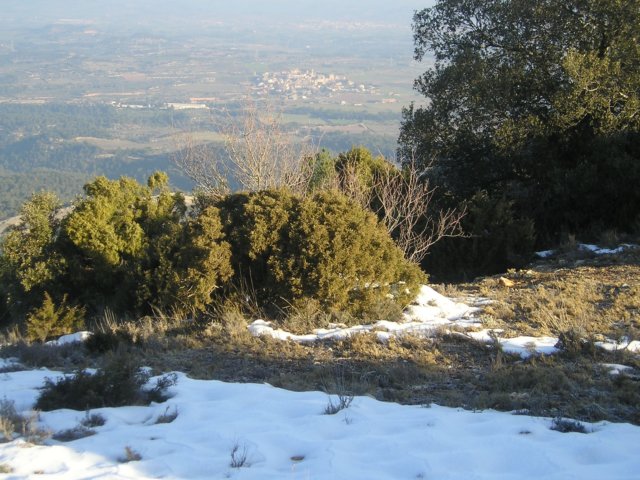 p1010014.jpg