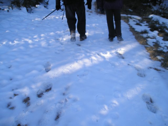 p1010017.jpg