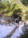 p1010028_small.jpg