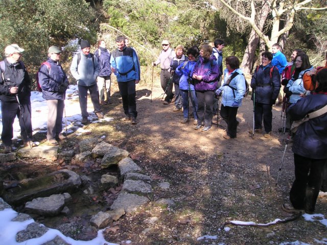 p1010037.jpg