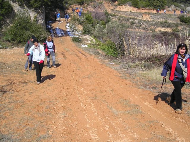 p1010042.jpg