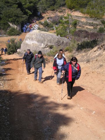 p1010044.jpg