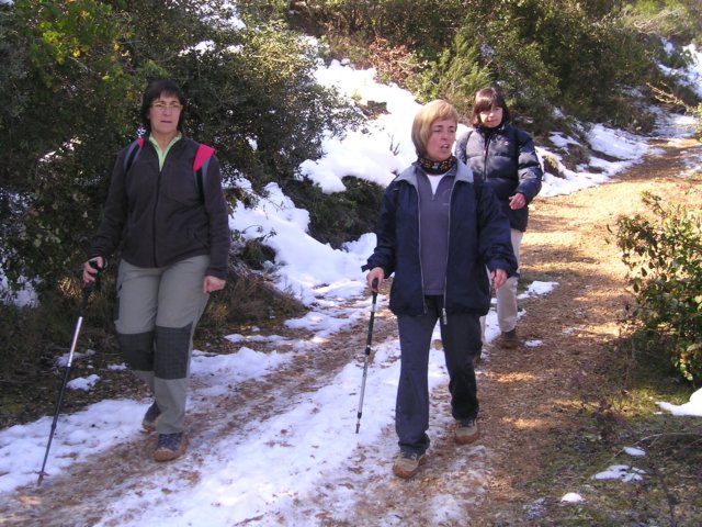 p1010054.jpg