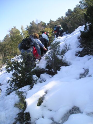 p1010063.jpg