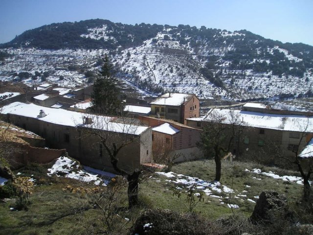p1010092.jpg