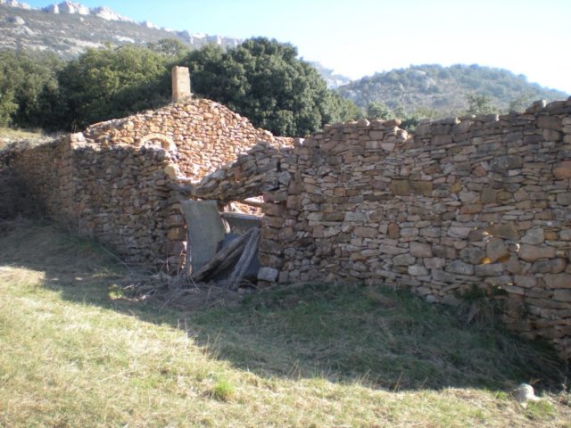 dscn0243r.jpg