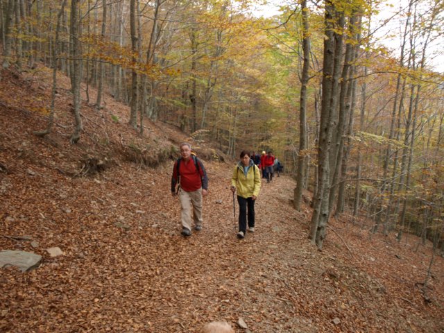 pa243689.jpg