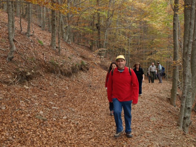 pa243691.jpg