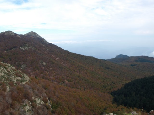 pa243702.jpg