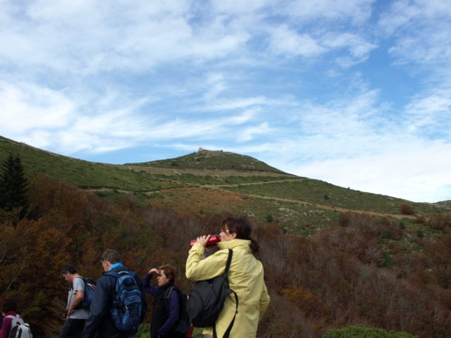 pa243707.jpg