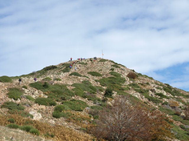 pa243734.jpg
