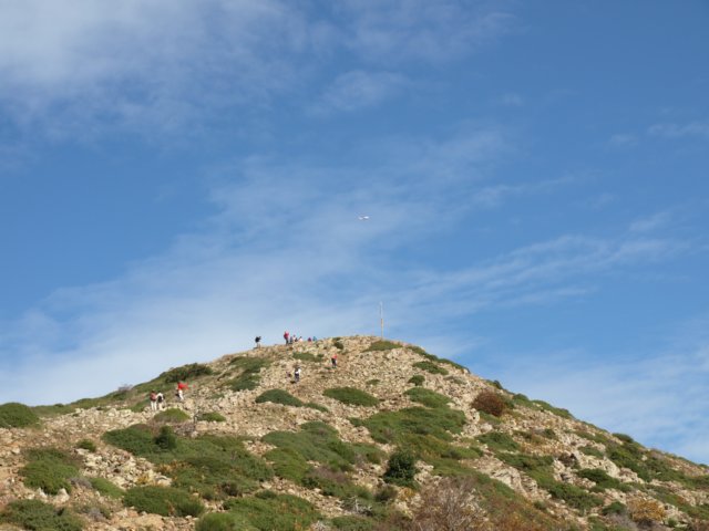 pa243736.jpg