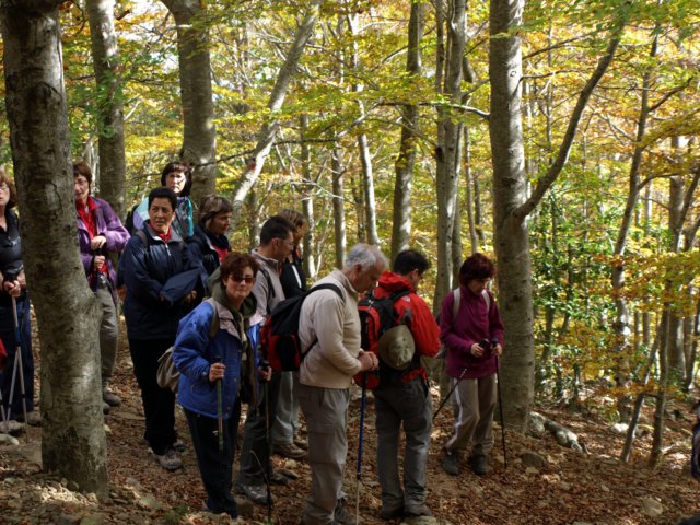 pa243743.jpg