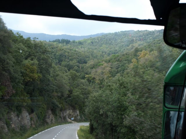 pa243745.jpg