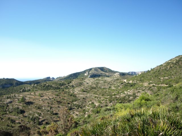 p9193607.jpg
