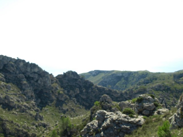 p9193639.jpg