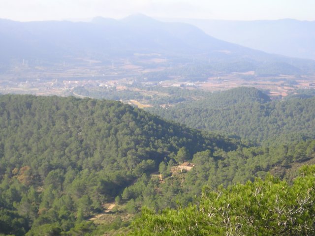 p1010063.jpg
