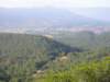 p1010063_small.jpg