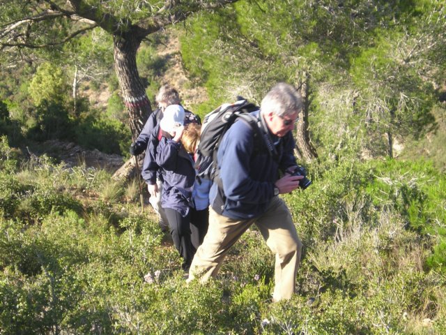 p1010065.jpg