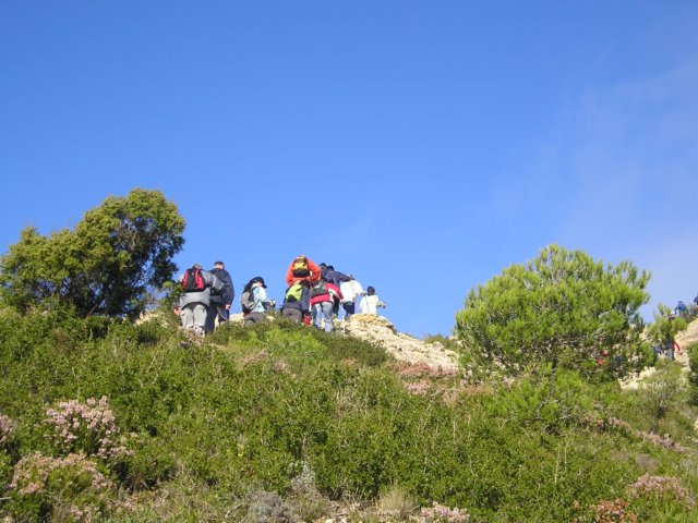 p1010074.jpg