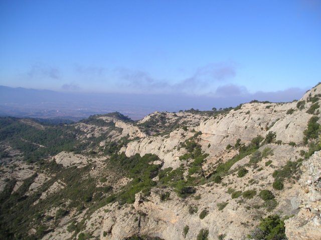 p1010079.jpg