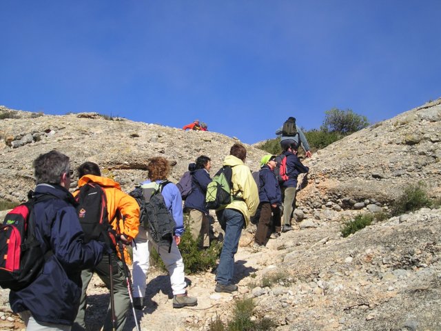 p1010082.jpg